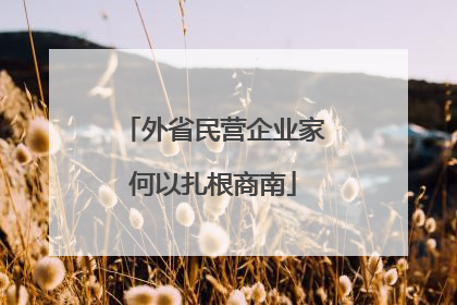 外省民营企业家何以扎根商南