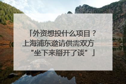 外资想投什么项目？上海浦东邀请供需双方“坐下来掰开了谈”