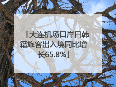 大连机场口岸日韩籍旅客出入境同比增长65.8%