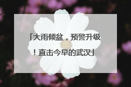 大雨倾盆，预警升级！直击今早的武汉