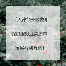 天津经开区发布促进服务业高质量发展行动方案