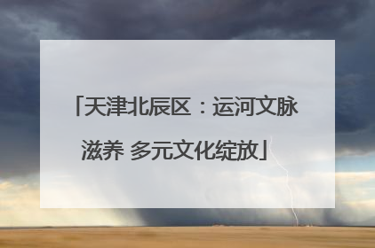 天津北辰区：运河文脉滋养 多元文化绽放