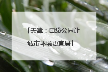 天津：口袋公园让城市环境更宜居