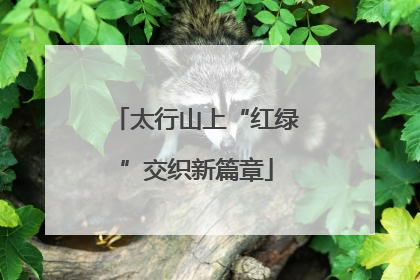 太行山上“红绿”交织新篇章