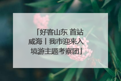 好客山东 首站威海丨我市迎来入境游主题考察团