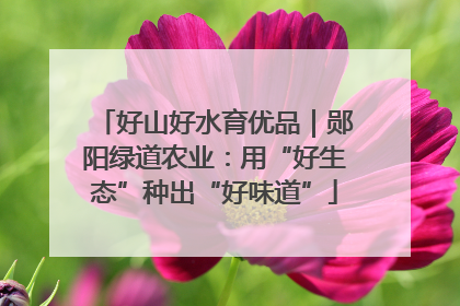 好山好水育优品｜郧阳绿道农业：用“好生态”种出“好味道”