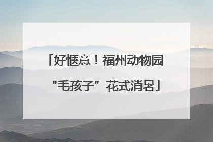 好惬意！福州动物园“毛孩子”花式消暑