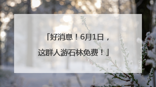 好消息！6月1日，这群人游石林免费！