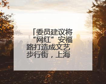 委员建议将“网红”安福路打造成文艺步行街，上海徐汇区回应