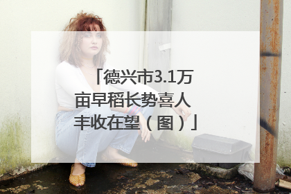 德兴市3.1万亩早稻长势喜人 丰收在望（图）