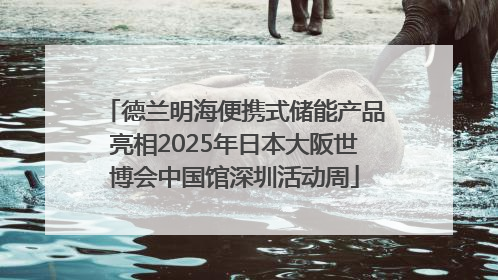 德兰明海便携式储能产品亮相2025年日本大阪世博会中国馆深圳活动周