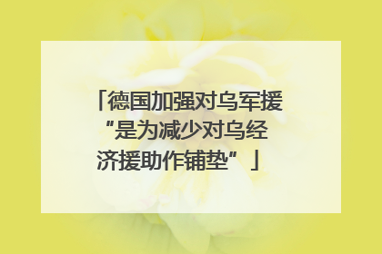 德国加强对乌军援 “是为减少对乌经济援助作铺垫”