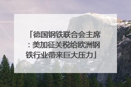 德国钢铁联合会主席：美加征关税给欧洲钢铁行业带来巨大压力