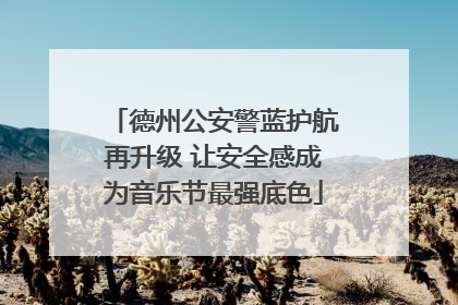 德州公安警蓝护航再升级 让安全感成为音乐节最强底色