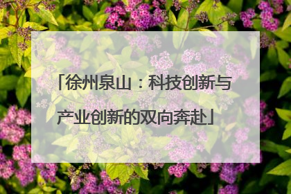 徐州泉山：科技创新与产业创新的双向奔赴