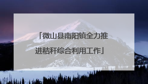微山县南阳镇全力推进秸秆综合利用工作