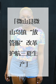 微山县微山岛镇“放管服”改革护航三夏生产