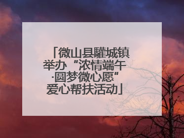 微山县驩城镇举办“浓情端午·圆梦微心愿”爱心帮扶活动
