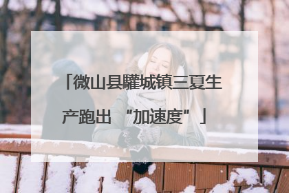 微山县驩城镇三夏生产跑出 “加速度”