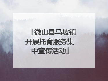 微山县马坡镇开展托育服务集中宣传活动