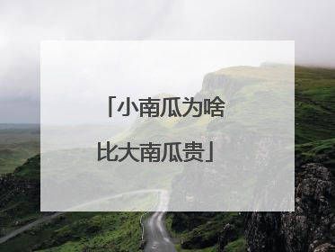 小南瓜为啥比大南瓜贵