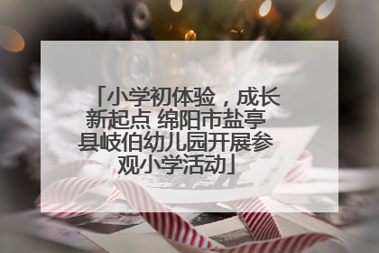 小学初体验，成长新起点 绵阳市盐亭县岐伯幼儿园开展参观小学活动
