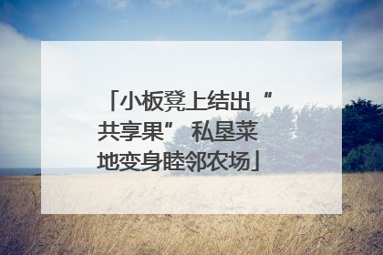 小板凳上结出“共享果” 私垦菜地变身睦邻农场