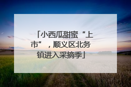 小西瓜甜蜜“上市”，顺义区北务镇进入采摘季