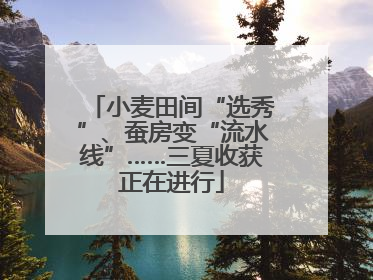 小麦田间“选秀”、蚕房变“流水线”……三夏收获正在进行