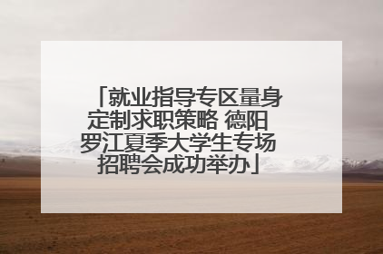 就业指导专区量身定制求职策略 德阳罗江夏季大学生专场招聘会成功举办