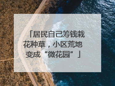 居民自己筹钱栽花种草，小区荒地变成“微花园”