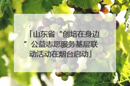 山东省“创培在身边”公益志愿服务基层联动活动在烟台启动