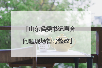 山东省委书记直奔问题现场督导整改