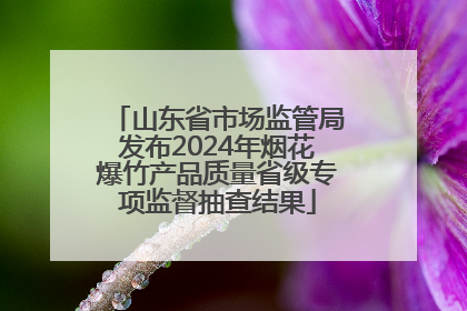 山东省市场监管局发布2024年烟花爆竹产品质量省级专项监督抽查结果