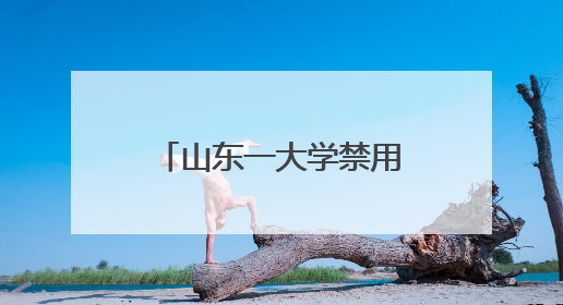 山东一大学禁用红米手机考试，小米王化回应：并非学校要求