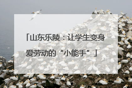 山东乐陵：让学生变身爱劳动的“小能手”