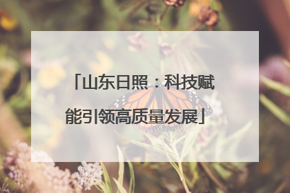 山东日照：科技赋能引领高质量发展