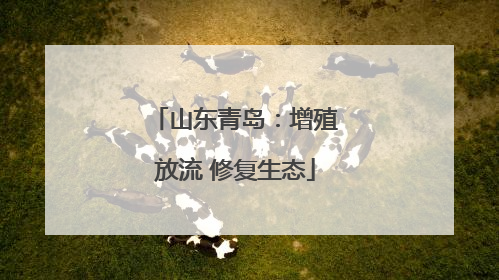 山东青岛：增殖放流 修复生态