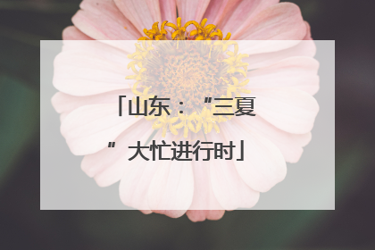 山东：“三夏”大忙进行时