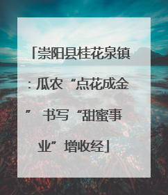崇阳县桂花泉镇：瓜农“点花成金” 书写“甜蜜事业”增收经