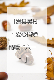 嵩县吴村：爱心捐赠情暖“六一”