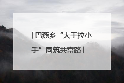 巴燕乡“大手拉小手”同筑共富路