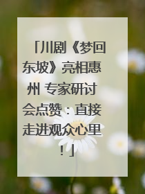 川剧《梦回东坡》亮相惠州 专家研讨会点赞：直接走进观众心里！