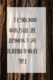 已收3000余万亩 进度96%！河北夏粮丰收在望