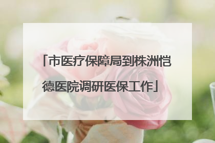 市医疗保障局到株洲恺德医院调研医保工作
