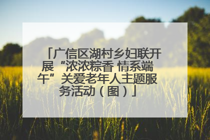 广信区湖村乡妇联开展“浓浓粽香 情系端午”关爱老年人主题服务活动（图）