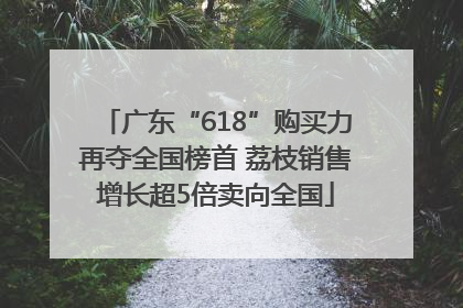 广东“618”购买力再夺全国榜首 荔枝销售增长超5倍卖向全国