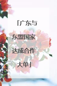 广东与东盟国家达成合作大单