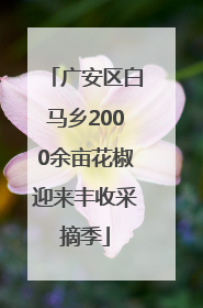 广安区白马乡2000余亩花椒迎来丰收采摘季
