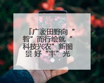 广袤田野向“智”而行绘就“科技兴农”新图景 好“丰”光传递新希望